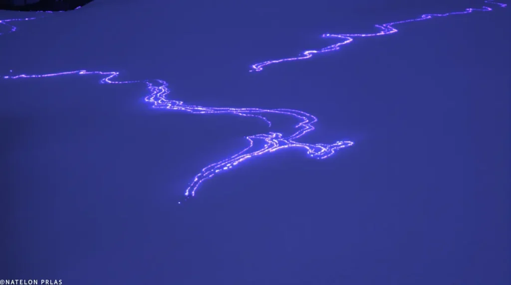 Comment les rapaces repèrent leurs proies sous la neige grâce à l’ultraviolet